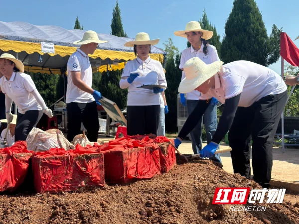 烈士遗骸搜寻发掘工作现场